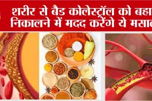 How To Control Cholesterol Level: शरीर से बैड कोलेस्ट्रॉल को बहार निकालने में मदद करेंगे ये मसाले