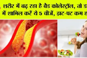 Cholesterol Control Foods: शरीर में बढ़ रहा है बैड कोलेस्ट्रॉल, तो डाइट में शामिल करें ये 5 चीजें, झट-पट कम होगा कोलेस्ट्रॉल