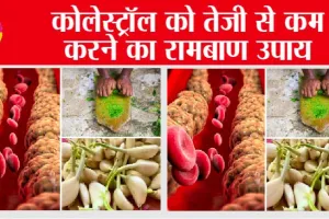 Cholesterol Control Foods: कोलेस्ट्रॉल को तेज़ी से कम करने का रामबाण उपाय