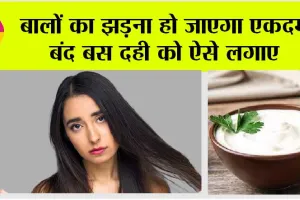 Curd For Hair Growth: बालों का झड़ना हो जाएगा एकदम बंद बस दही को ऐसे लगाए