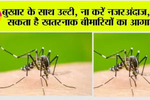 Dengue Dangerous Symptom: बुखार के साथ उल्टी, ना करें नजरअंदाज, हो सकता है खतरनाक बीमारियों का आगाज