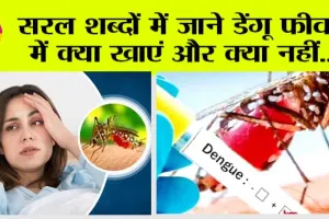 Dengue Diet: सरल शब्दों में जाने डेंगू फीवर में क्या खाएं और क्या नहीं..