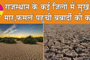 Jaipur News: राजस्थान के कई जिलों में सूखे की मार, फसलें पहुंची बर्बादी की कगार
