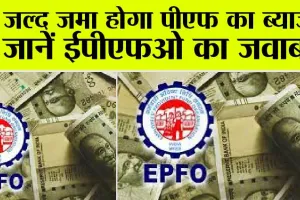 EPF Interest Rate: जल्द जमा होगा पीएफ का ब्याज? जानें ईपीएफओ का जवाब…
