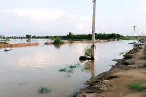घग्घर नदी का पानी पहुंचा भेड़ताल, पाकिस्तानी सीमा में प्रवेश कर वापिस भारत आता है पानी