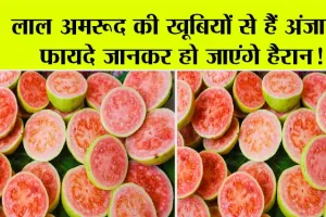 Guava Benefits: लाल अमरूद की खूबियों से हैं अंजान, फायदे जानकर हो जाएंगे हैरान!