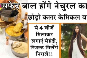 Hair Care Tips: सफेद बाल होंगे नेचुरल काले, छोड़ो कलर केमिकल वाले! ये 4 चीजें मिलाकर लगाएं मेहंदी, रिजल्ट मिलेंगे निराले!!