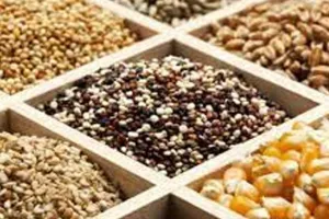 Haryana News: 10वीं पास युवाओं के लिए सुनहरा अवसर!