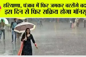 Weather Today: हरियाणा, पंजाब में फिर जमकर बरसेंगे बदरा, इस दिन से फिर सक्रिय होगा मॉनसून