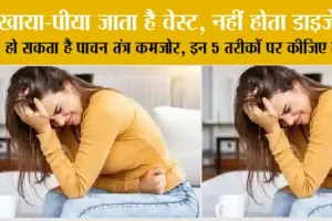 Health Tips: खाया-पीया जाता है वेस्ट, नहीं होता डाइजेस्ट! हो सकता है पाचन तंत्र कमजोर, इन 5 तरीकों पर कीजिए गौर!