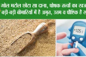 Kodo Millet Benefits: गोल मटोल छोटा सा दाना, पोषक तत्त्वों का खजाना, बड़ी-बड़ी बीमारियों में है अमृत, उत्तम व पौष्टिक है खाना