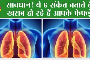 lungs Infection Sign: फेफड़े खराब होने पर दिखाई देते हैं यह लक्षण, तुरंत हो जाए अलर्ट, हो सकती है गंभीर समस्या