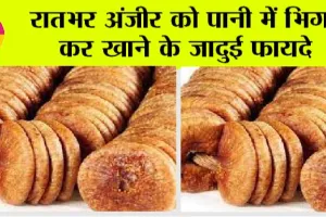 Magical Benefits Of Soaked Figs: रातभर अंजीर को पानी में भिगो कर खाने के जादुई फायदे