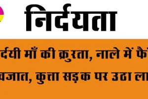 Ambala: निर्दयी माँ की क्रुरता, नाले में फैंकी नवजात, कुत्ता सड़क पर उठा लाया