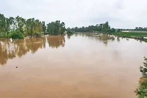 पहाड़ों में बारिश, घग्गर में बढ़ा जलस्तर