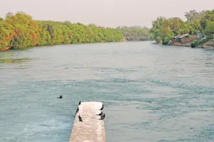 सतलुज नदी तटबंध की सुरक्षा के लिए ठीकरी पहरा करने के आदेश