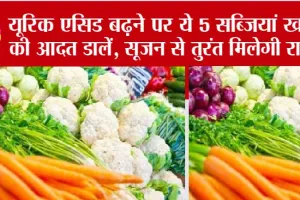Uric Acid Control: यूरिक एसिड बढ़ने पर ये 8 सब्जियां खाने की आदत डालें, सूजन से तुरंत मिलेगी राहत