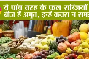 Vegetable Seeds Benefits: ये पांच तरह के फल-सब्जियों के बीज हैं अमृत, इन्हें कचरा न समझें, खाने से सेहत को मिलता है भरपूर पोषण