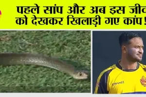 Viral Video: पहले सांप और अब इस जीव को देखकर खिलाड़ी गए कांप!