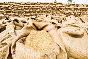 Food Grains: गहराते खाद्यान्न संकट पर भारत का रूख