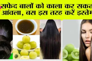 Hair Care: सफेद बालों को काला कर सकता है आंवला, बस इस तरीके से करें इस्तेमाल