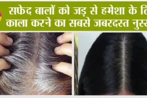 White Hair Problem Solution: सफेद बालों को जड़ से हमेशा के लिए काला करने का सबसे जबरदस्त नुस्खा?