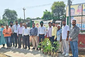 बठिंडा में पंजाब नेशनल बैंक ने किया पौधारोपण