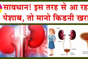 Urine symptoms of kidney disease: सावधान! इस तरह से आ रहा है पेशाब, तो मानो किडनी खराब!