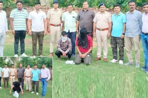 हरियाणा राज्य नार्कोटिक्स कंट्रोल ब्यूरो सिरसा यूनिट की नशा तस्करों पर बडी कार्यवाही