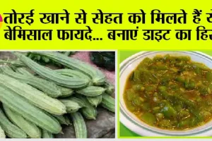 Benefits Of Turai: तोरई की सब्जी खाने के एक नहीं अनेक हैं फायदे