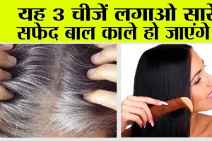 White Hair To Black Hair Naturally: सफेद बाल काले करने के अचूक नुस्खे