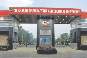 हरियाणा दिवस पर विशेष: देश के खाद्यान उत्पादन में दूसरा सबसे बड़ा राज्य बना हरियाणा