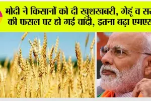 MSP News: मोदी सरकार ने किसानों को दी खुशखबरी, गेहूं व मसूर की फसल पर हो गई चांदी, इतना बढ़ा एमएसपी