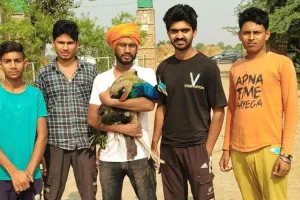 National Bird: टीम रक्षक के पशु सेवकों ने घायल राष्ट्रीय पक्षी की बचाई जान