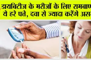 Blood Sugar: डायबिटीज के मरीजों के लिए रामबाण हैं ये हरे पत्ते, दवा से ज्यादा करेंगे असर…