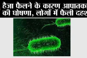 Cholera: हैजा फैलने के कारण आपातकाल की घोषणा, लोगों में फैली दहशत