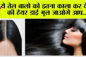 Homemade Oil: ये तेल बालो को इतना काला कर देगा की हेयर डाई भूल जाओगे आप