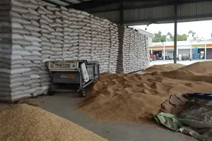 5 दिन तक बंद रहेगी सिरसा मंडी में फसलों की बोली