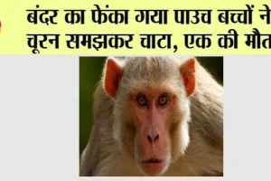 Trending News: बंदर की गुस्ताखी, बच्चों पर पड़ी भारी, 3 बच्चे हुए जहरीले चूरण का शिकार