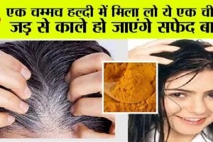 White Hair: एक चम्मच हल्दी में मिला लो ये एक चीज, जड़ से काले हो जाएंगे सफेद बाल