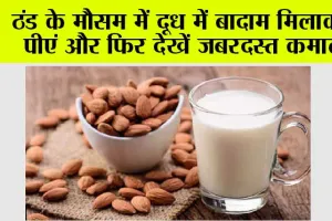 Winter Food Tips: ठंड के मौसम में दूध में बादाम मिलाकर पीएं और फिर देखें जबरदस्त कमाल
