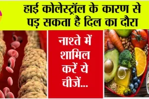 Cholesterol Lowering Breakfast: हाई कॉलेस्ट्रॉल की वजह से हो सकती है ये खतरनाक बीमारी, नाश्ते में शामिल करें ये चीजें…