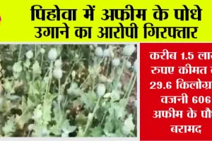 पिहोवा: अफीम के पोधे उगाने का आरोपी गिरफ्तार 