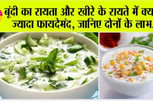 Raita: क्या बूंदी से ज्यादा हेल्दी है खीरे का रायता? रात में किस टाइम तक कर सकते है इसका सेवन