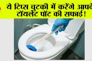 Toilet Cleaning: जब है समाधान तो क्यों होना परेशान! ऐसे रखें, अपने टॉयलेट पॉट की सफाई का ध्यान!