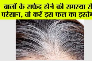White Hair Problem: बालों के सफेद होने की समस्या से है परेसान, तो करें इस फल का इस्तेमाल, सफेद खिचड़ी भी हो जाएंगी काली