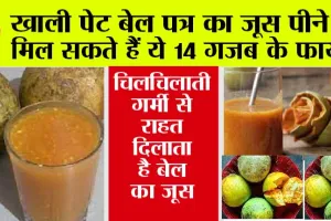 Bel Patra Juice Benefits: चिलचिलाती गर्मी से राहत दिलाता है बेल का जूस, सुबह खाली पेट पीने से मिलते है ये गजब के फायदे