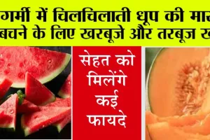 Best Healthy Foods for Summer: दिल को स्वस्थ रखने वाले खरबूजे और तरबूज खाएं, भीषण से भीषण गर्मी से भी निजात पाएं