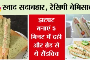 Curd Sandwich Recipe: दही और ब्रेड से बना ये सैंडविच, खाते-खाते खत्म हो जाएगा लेकिन टेस्ट बरकरार रहेगा!