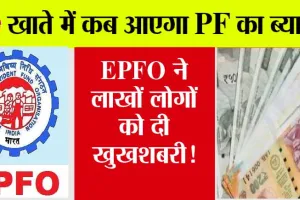 EPF Interest: अकाउंट में कब आएगा PF का ब्याज? EPFO ने दिया दिल खुश करने वाला जवाब, जानें…